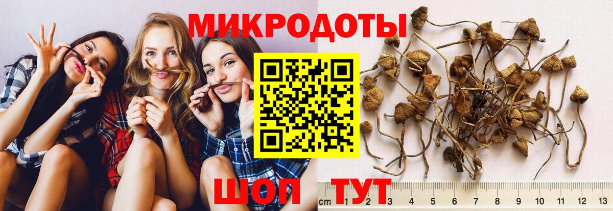 Псилоцибиновые грибы Magic Shrooms Новокуйбышевск